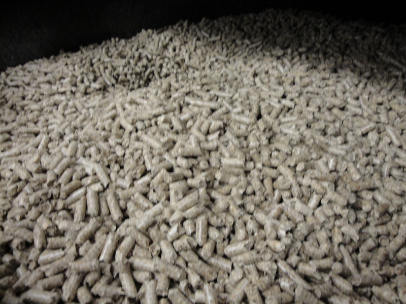 Ekologiczne ogrzewanie domu