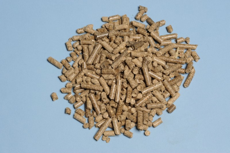 Piec z podajnikiem czy bez?